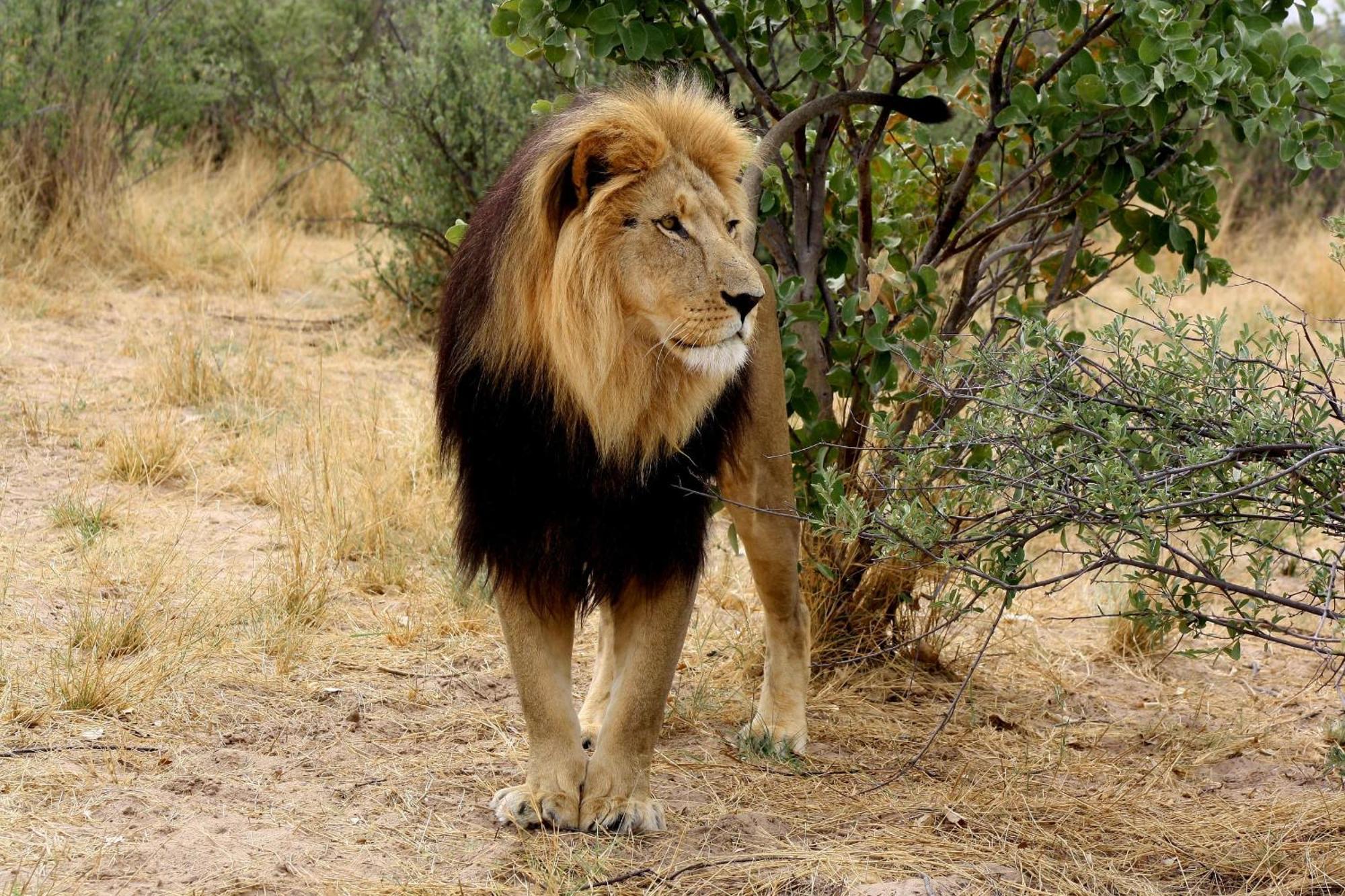 Grassland Safari Lodge Ghanzi 외부 사진